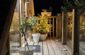 The TreeHouse Hideaway - Foto 36