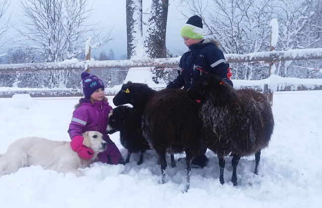 Valkeisen Loma - Foto 30