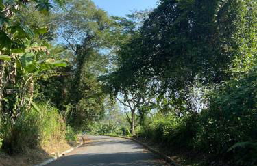 Casa espaçosa em estilo colonial - Foto 3
