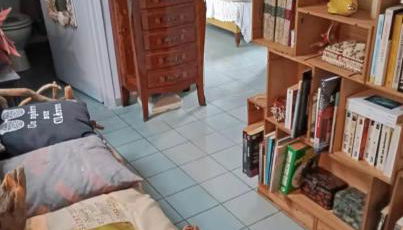 Petite bulle - Foto 4