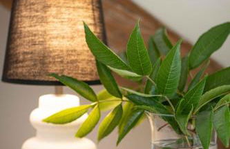 Suite58RWY - Foto 12