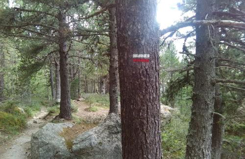 Chalet bois au milieu des Pyrénées - Foto 17