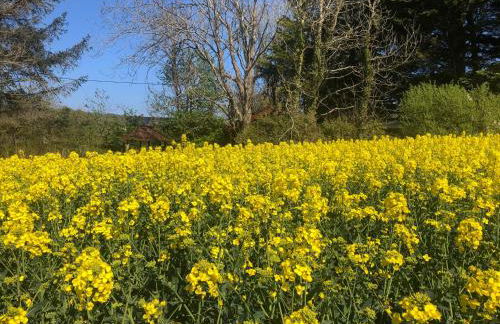 The Chalet @ Giltar Grove Country House - Photo 12