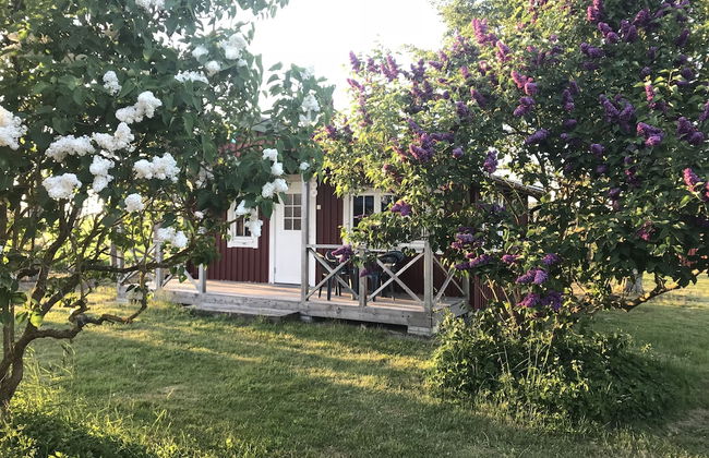 Mälarhusen Semesterby Österlen - Stugor & Gårdssviter - Photo 4