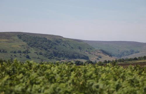 Richmond Cottage - Photo 16