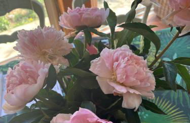 Les Salins de Hyères Vue Mer Exceptionnelle Superbe T2 de 55m2 - Foto 12