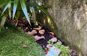 Garden Suite - Foto 56