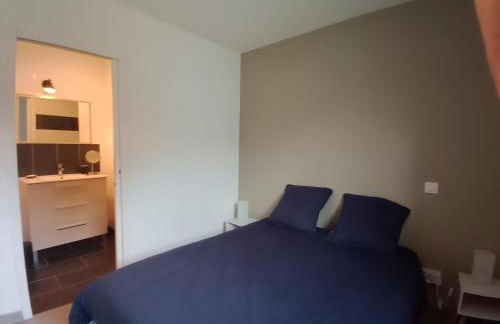 Les Tissey vue sur le Mont St Michel - Foto 6