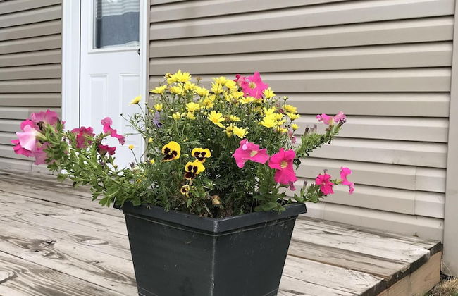 Hollys Resort - Foto 73