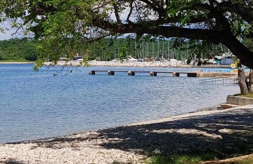 Apartma Park Učka - Foto 22