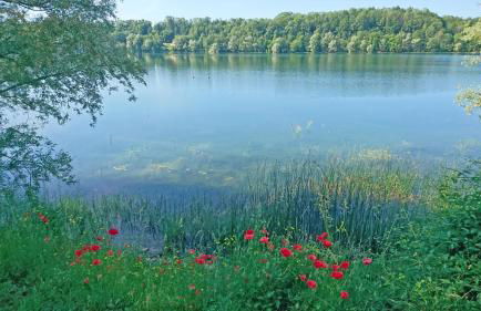 Les Carmes - Photo 24