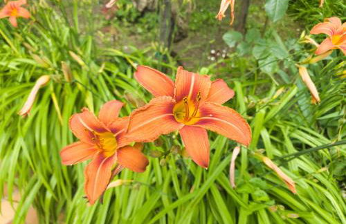 Casa Kendra - Foto 19