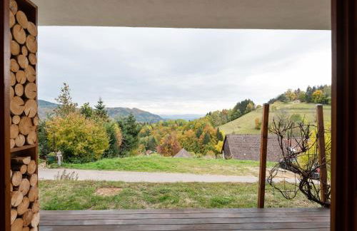 Apartment in Kleines Wiesental - Foto 51