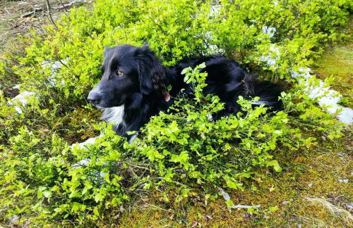 Biobetrieb Lippenhof - Photo 14