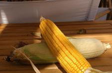 Agriturismo Carne Sicura - Foto 57