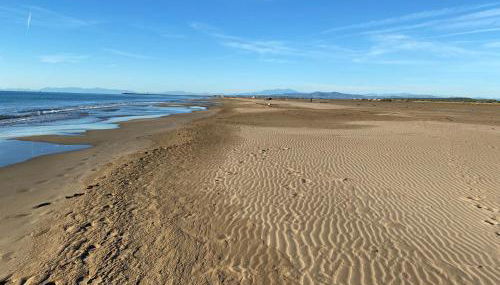 Les vagues du Sud - Photo 2