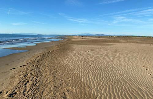 Les vagues du Sud - Photo 2