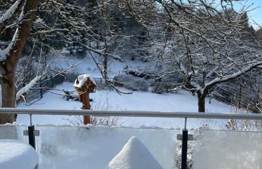 Bergchalet Löwenzahn - Foto 33