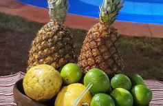 Residencial Sirius Canoa - Foto 14