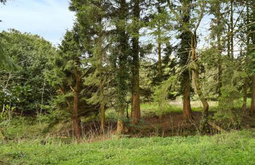 Dove House - Foto 14