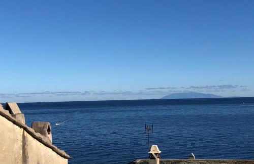 Appartement Casadilonda - Casadibastia - Vue mer Citadelle - Foto 34