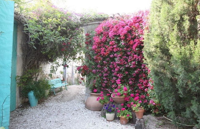 Finca Belon - Foto 12