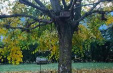 Cal Pastor de Planès - Foto 22