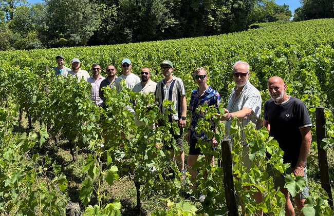 "Explora Saint-Émilion en bicicletas eléctricas: Grupo pequeño, excursión de medio día" - Foto 28