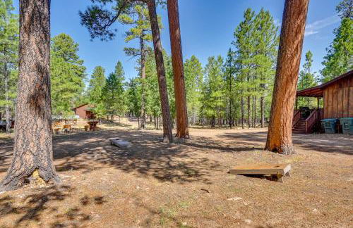 Coconino Cabin with Kayaks about 13 Mi to Reservoir - Foto 34