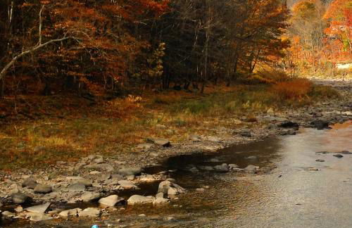 A River Runs Through It - Foto 32