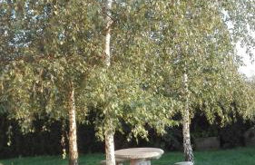 Landhaus Maria - Foto 23