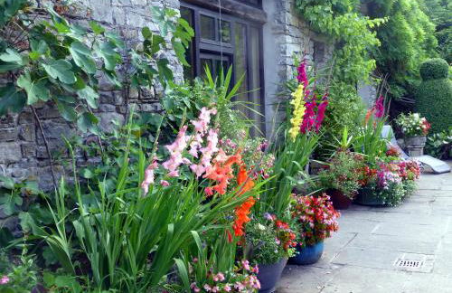 Ty Cefn Tregib - Photo 35