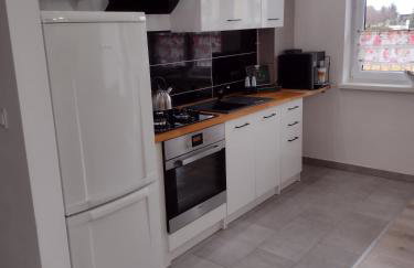 Apartament Jagielloński - Foto 8