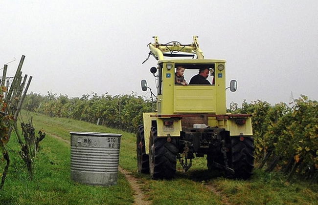 Family-friendly Apartment - Foto 31