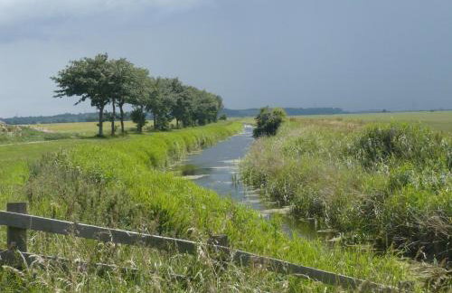 Charming Cottage in Romney Marsh Britain with Wooden Deck - Photo 20