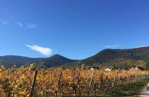 Appartments Rue Des Châteaux - Photo 25