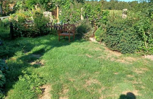 Gemuetlicher Bungalow mit Garten UND Whirlpool in Nakenstorf - Foto 44