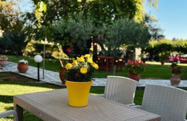 Viki Studios - Foto 16