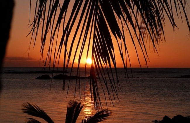 Blue Bay Holiday Resort - Photo 40