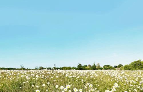 Spring House by The Suffolk Cottage Collection - Foto 38