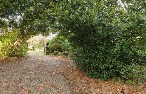 Plas Dorothea - Photo 33