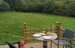 Meadow Bluebird - Foto 6