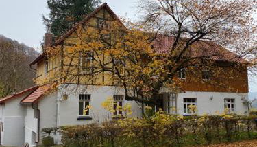 Ferien Langer Grund mitten im Wald - Foto 2
