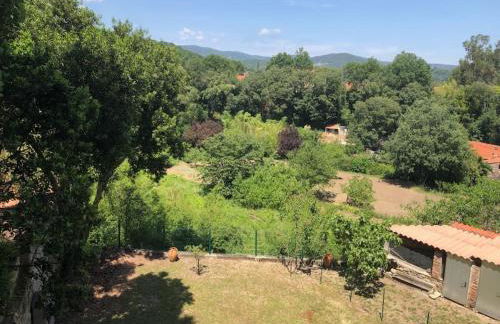 Au coeur de ville avec terrasse - Foto 30