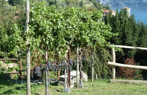 Bellagio Il Crotto - Foto 52