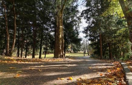 Long Island Nature Retreat with Peloton with Shared Pool - Foto 14