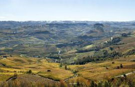 Casa Nalin - Photo 22