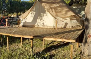 Monte da Tojeirinha - Foto 53