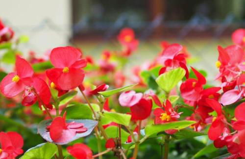 Ferienwohnung Am See mit kleinem Boot und 3er Kajak und 2 SUP - Foto 4