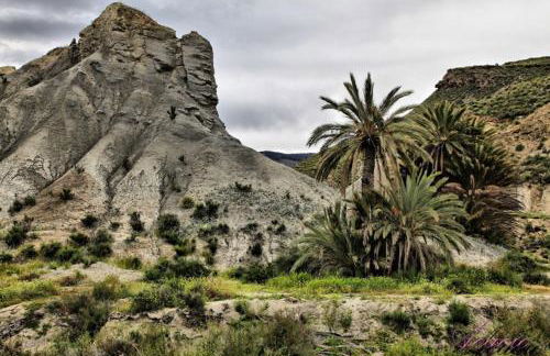 Alojamiento las Dunas alto - Foto 40